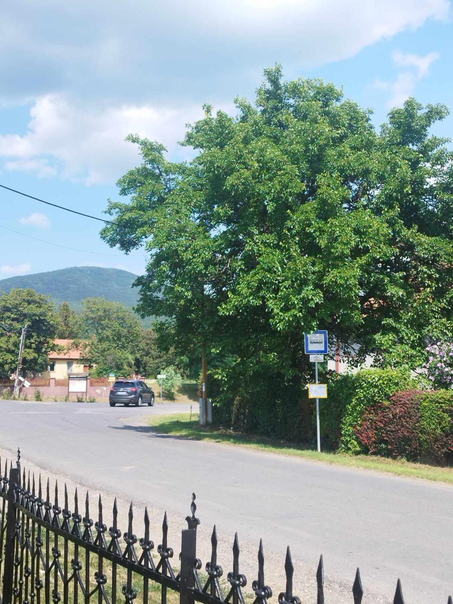 Zöldkapus Vendégház Fony Esterno foto